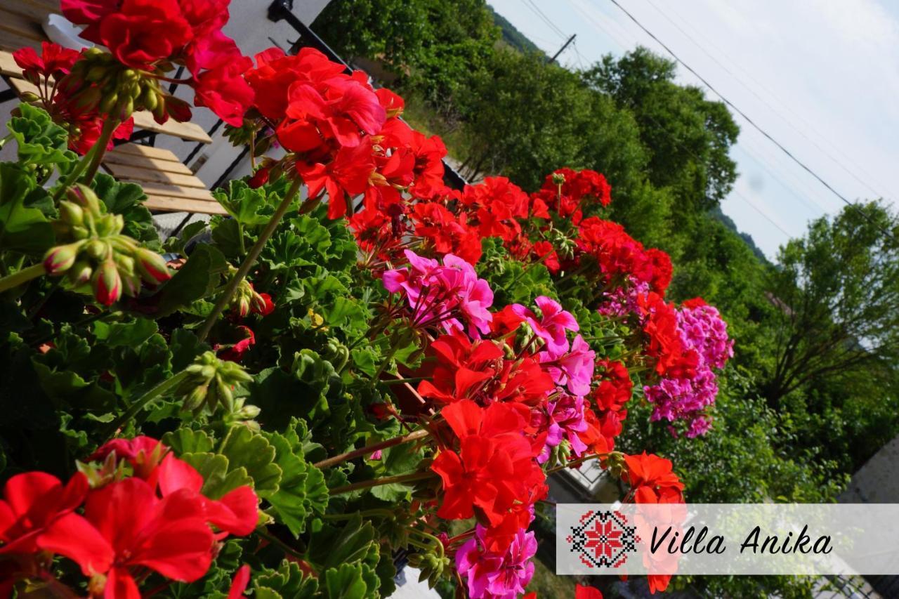 Villa Anika Mezek Buitenkant foto